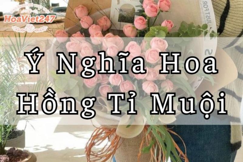 Ý nghĩa sâu sắc ẩn chứa trong từng màu sắc của hoa hồng tỉ muội